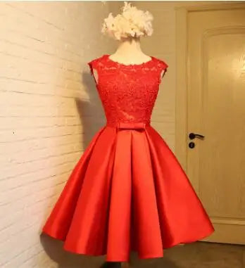Backless A-Line Lace Party Dress